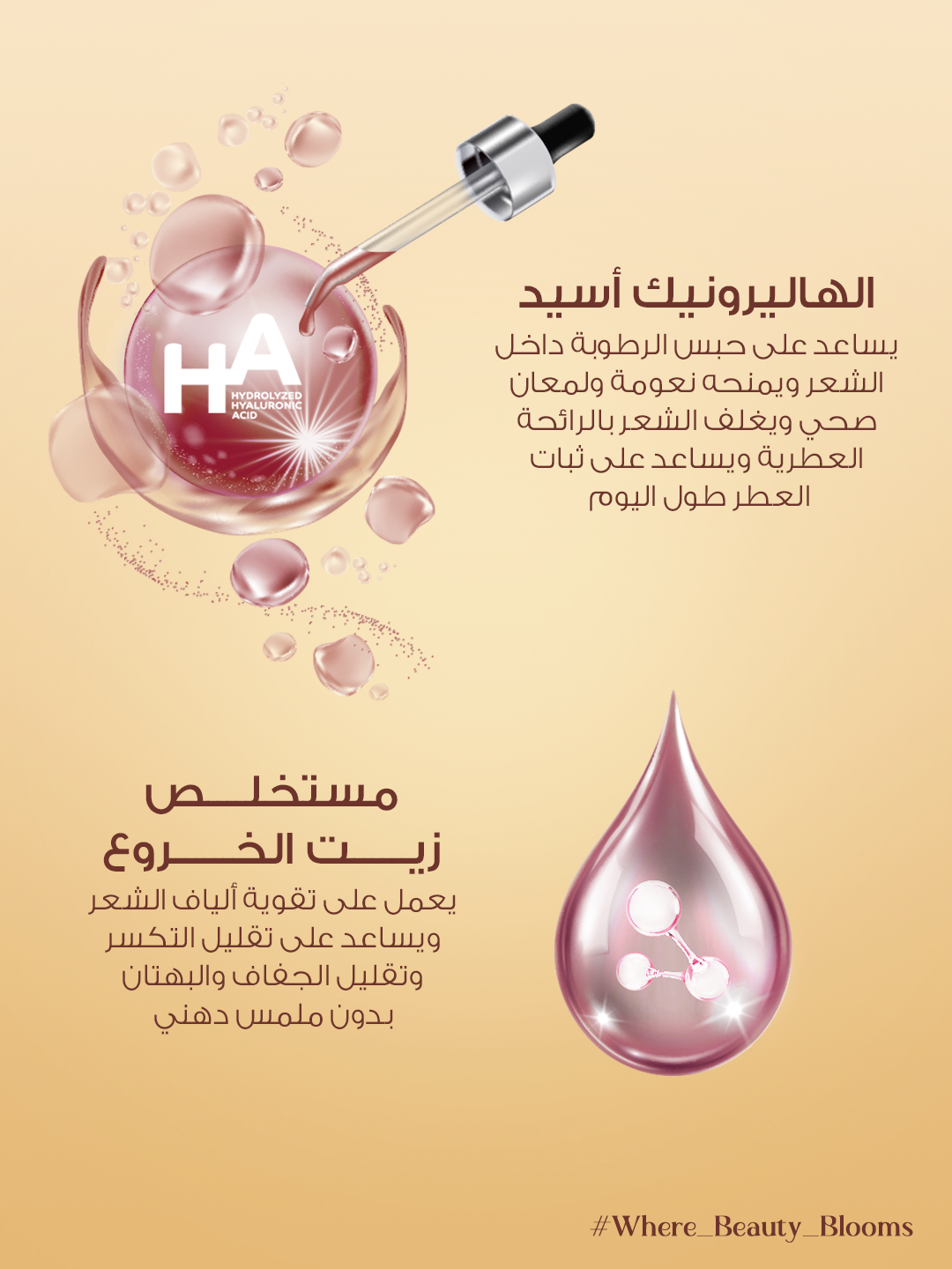 Hair Perfume Bundle - Image 7